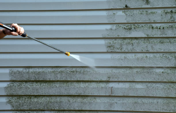 Best Dumpster Area Cleaning  in Three Oaks, MI